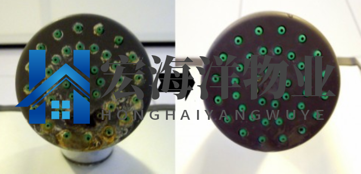 清洗淋浴噴頭有困難？有了這個技巧就很容易了！